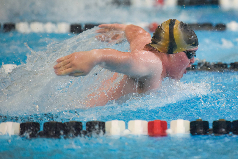 boy swimmer doing butterfly