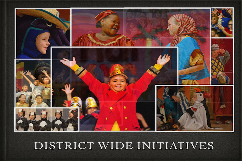 District Wide Initiatives